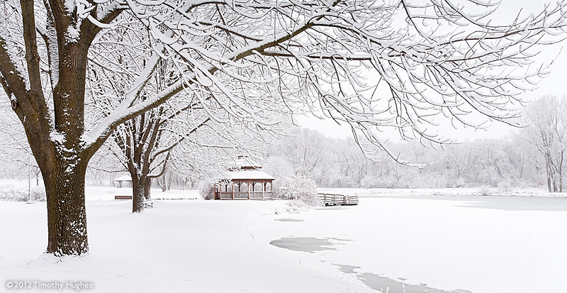 Pond in the winter