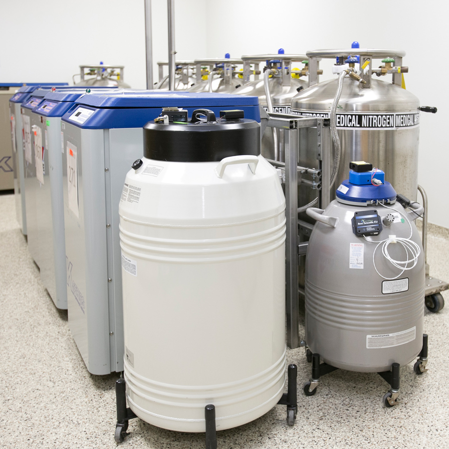 Square photo of cytogenetic laboratory equipment
