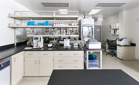 Laboratory photo