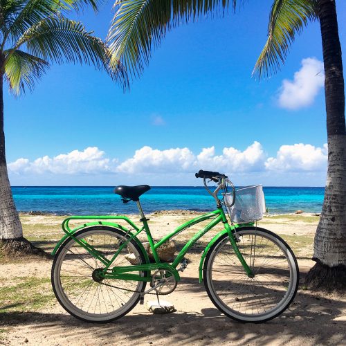 A beach cruiser near the clear, blue sea with two palm trees.