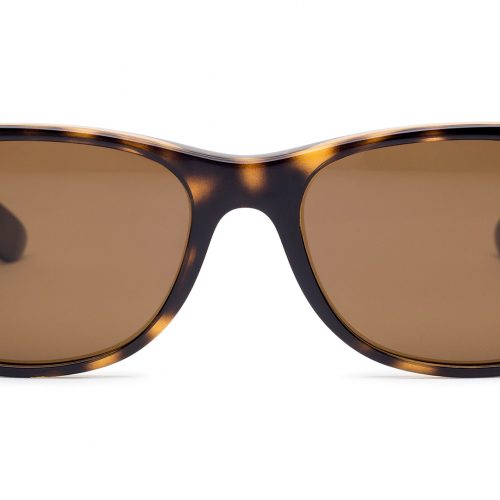 Ray Ban Wayfarer sunglasses