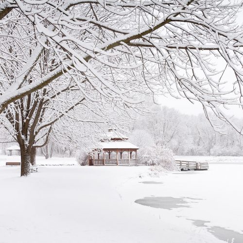 Artsy winter scene in Middleton