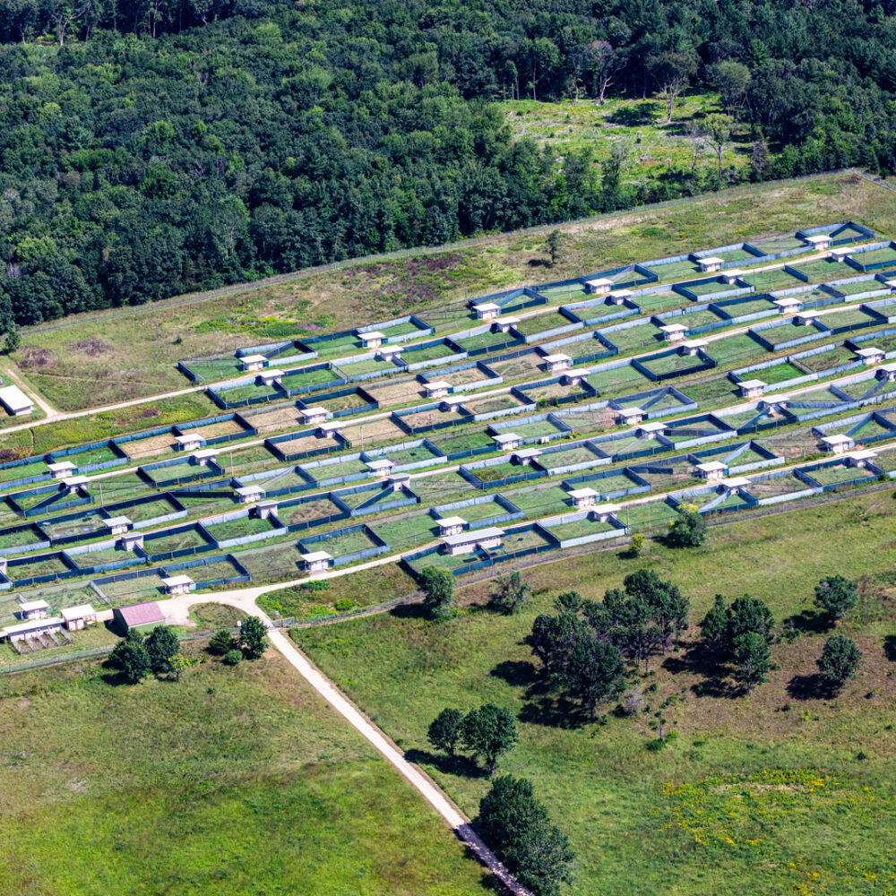 Dells aerial 8-24-25_216